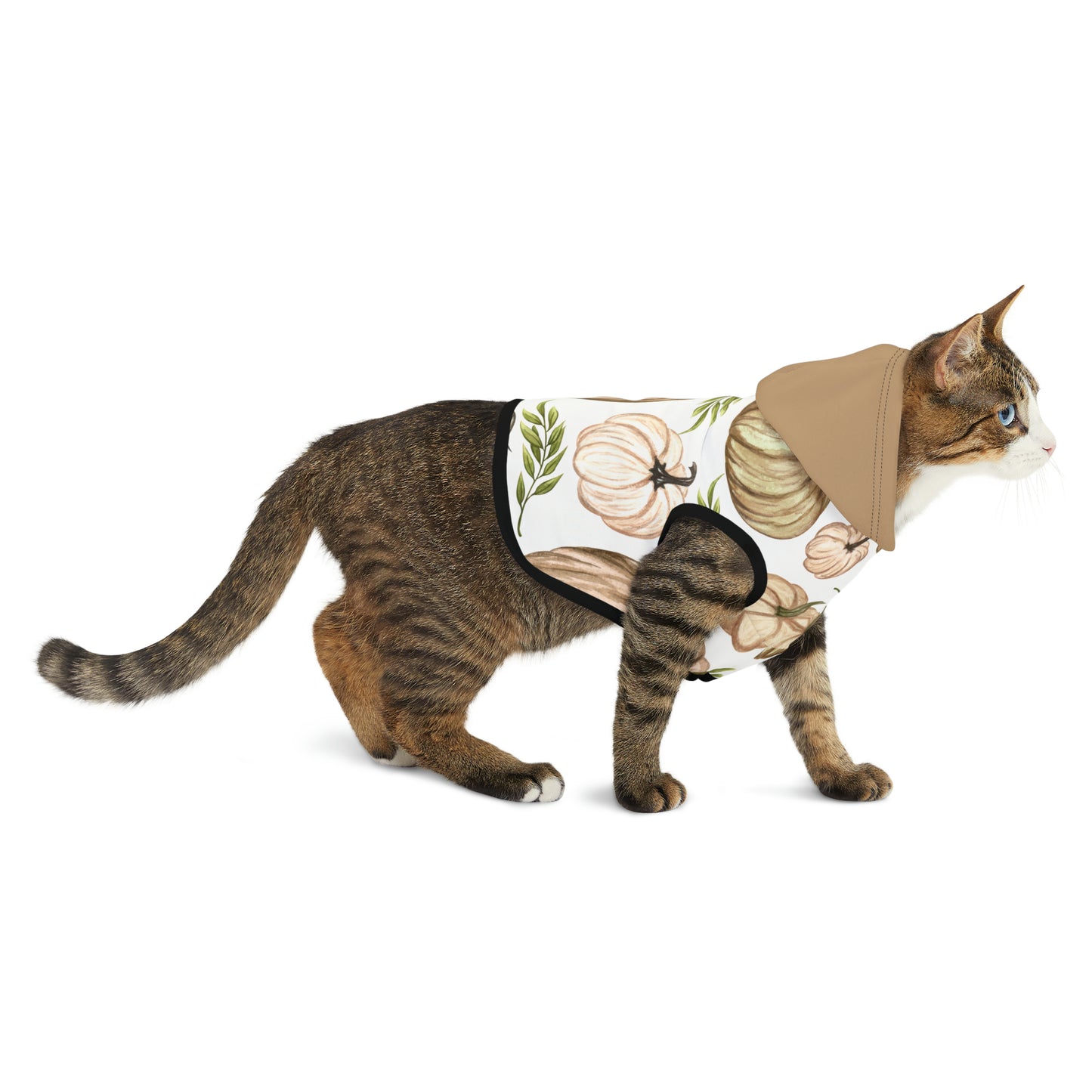 Cat Hoodie - Fall Collection (Fall 4 - With Dusty Rose Hood)