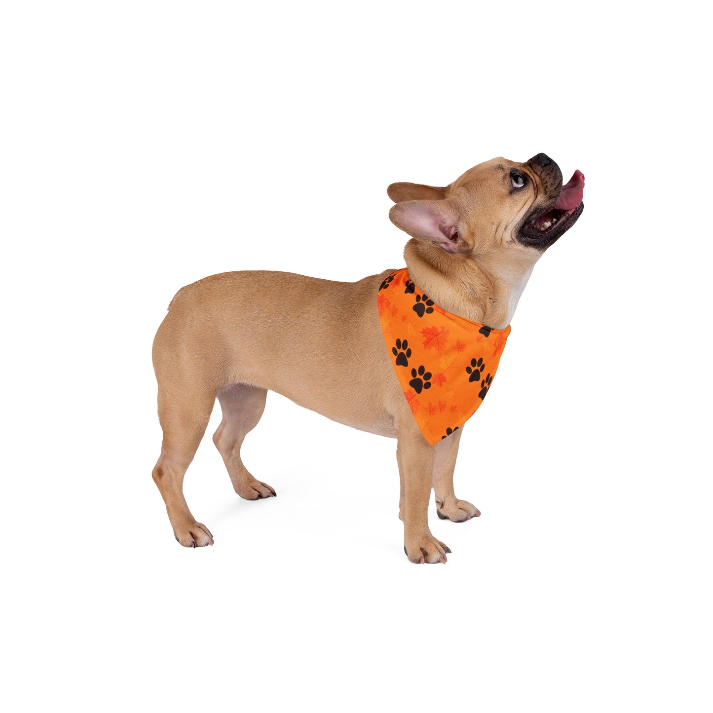 Pet Bandana - (Light Orange)