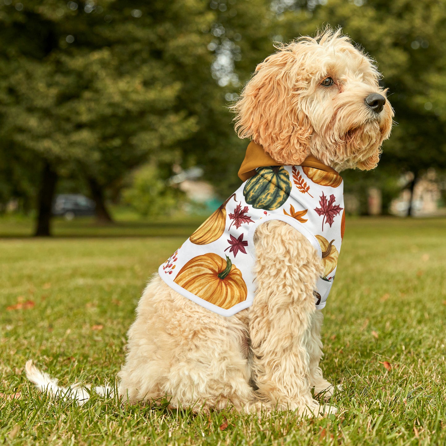 Dog Hoodie - Fall Collection (Fall 3 - With Yellow Hood)