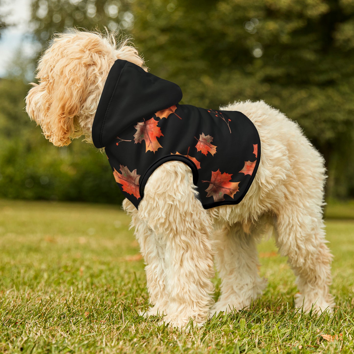 Dog Hoodie - Fall Collection (Fall 2 - With Black Hood)