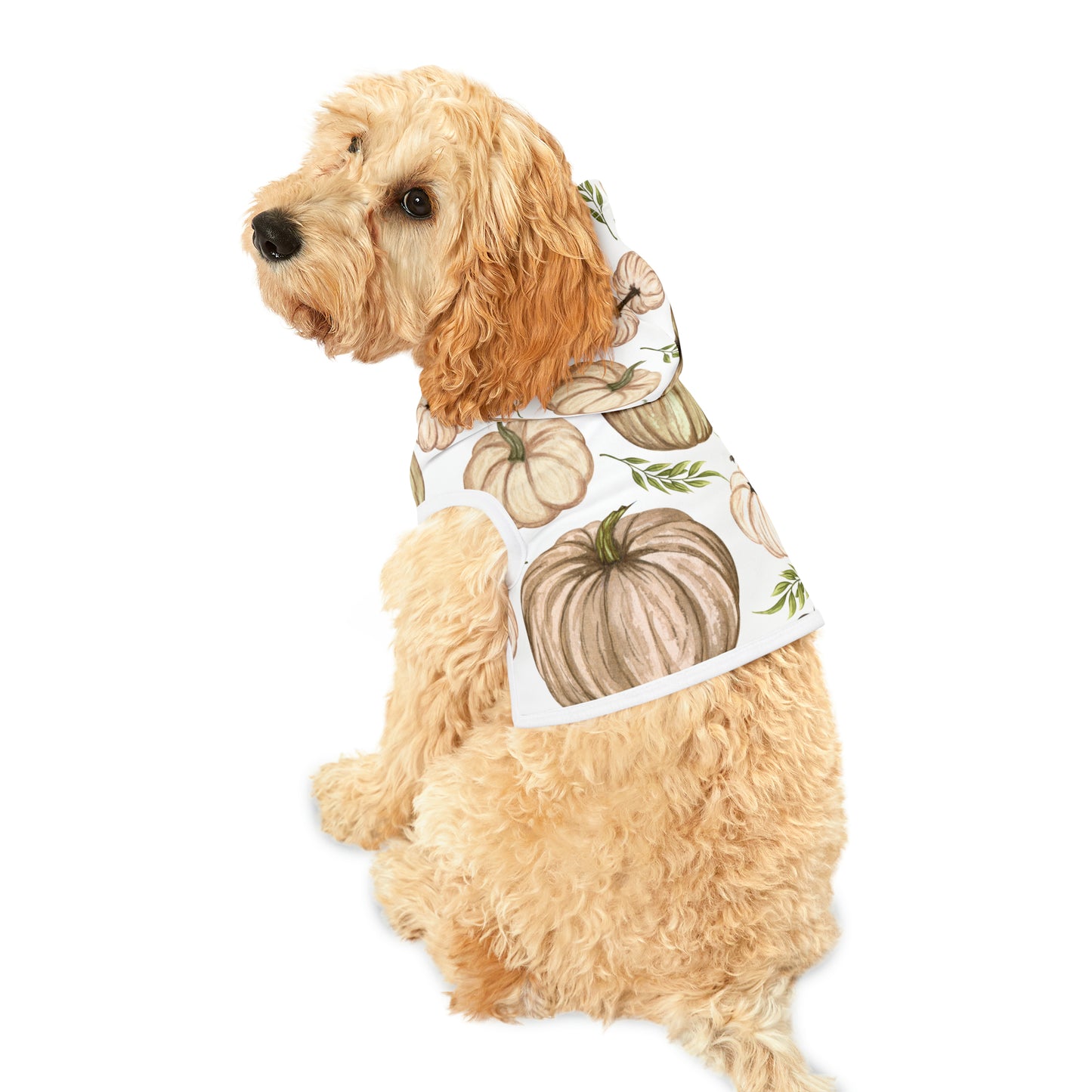 Dog Hoodie - Fall Collection (Fall 4)