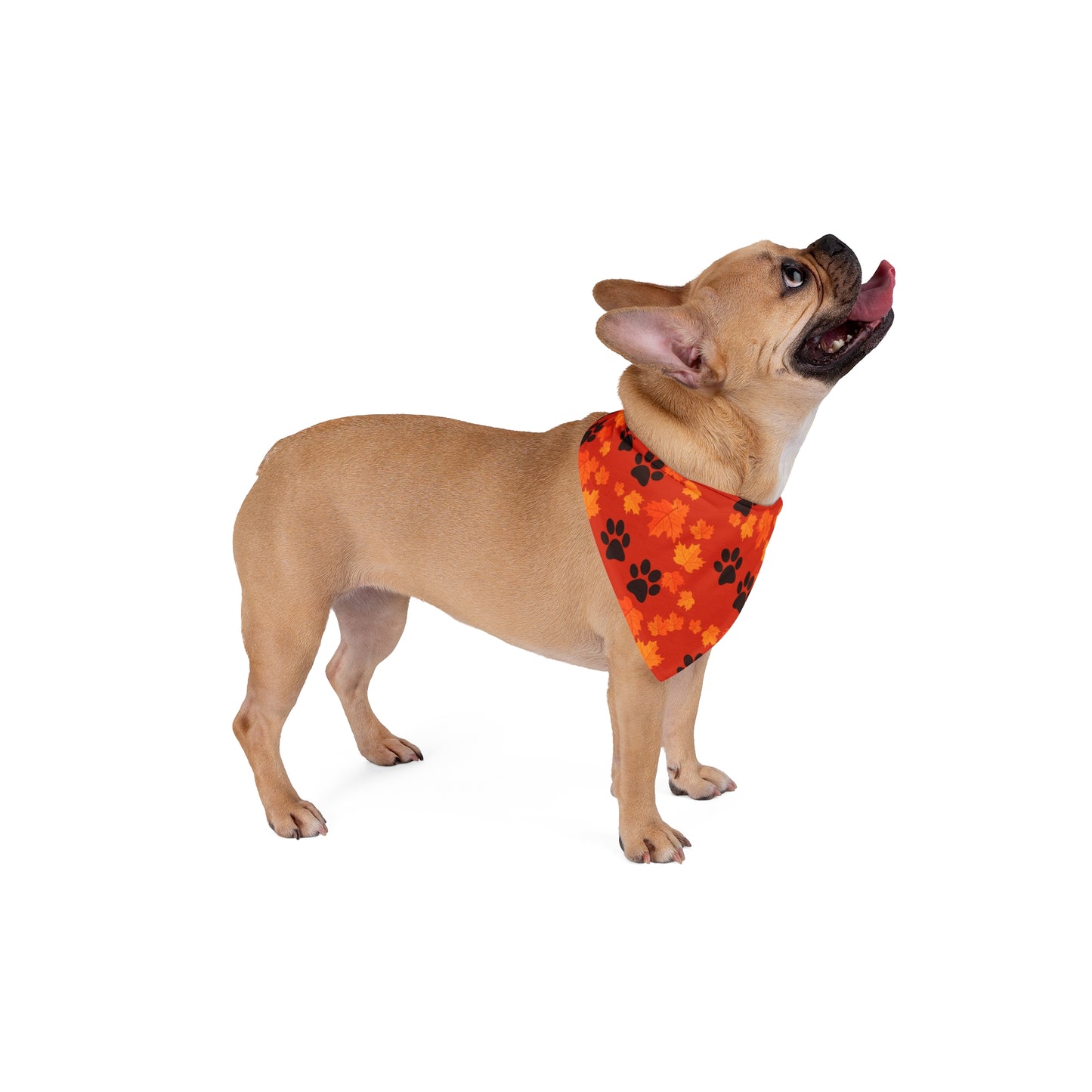 Pet Bandana - (Dark Orange)