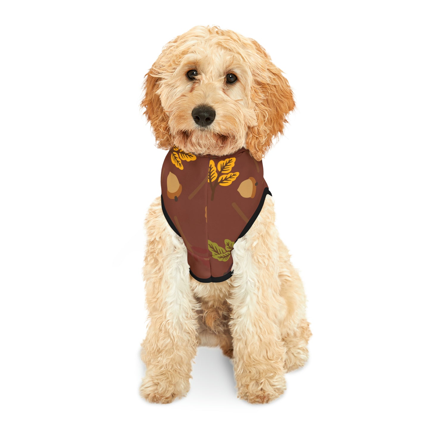 Dog Hoodie - Fall Collection (Fall 1)