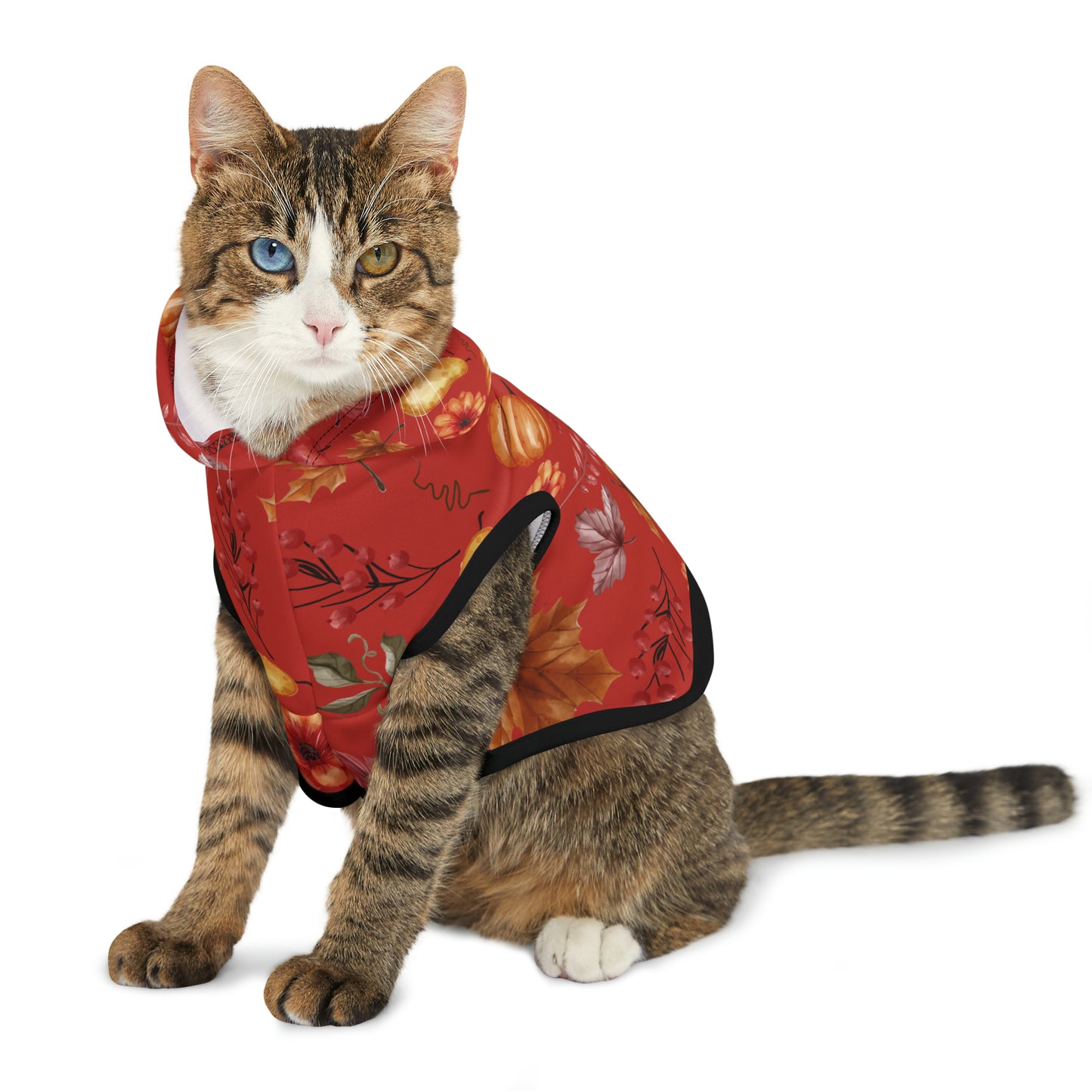 Cat Hoodie - Fall Collection (Fall 5)