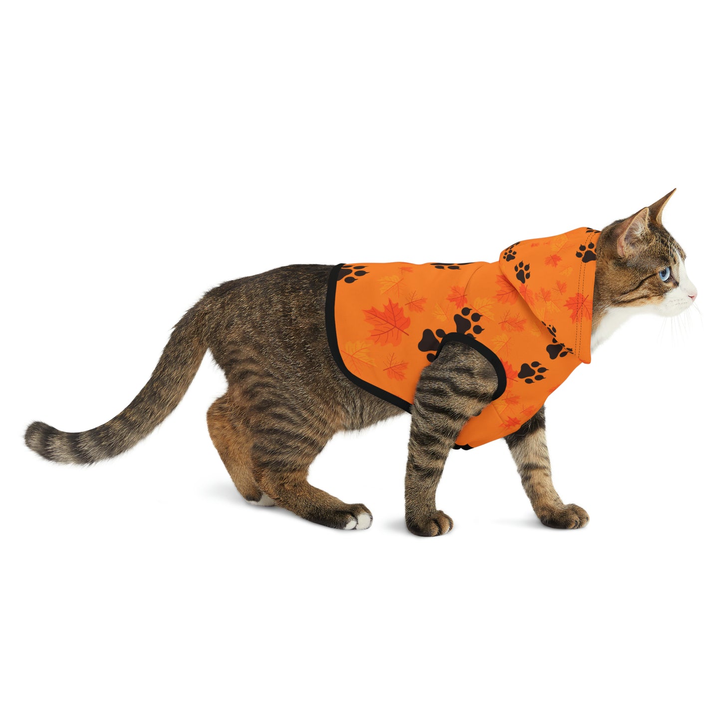 Cat Hoodie - Fall Collection (Light Orange)