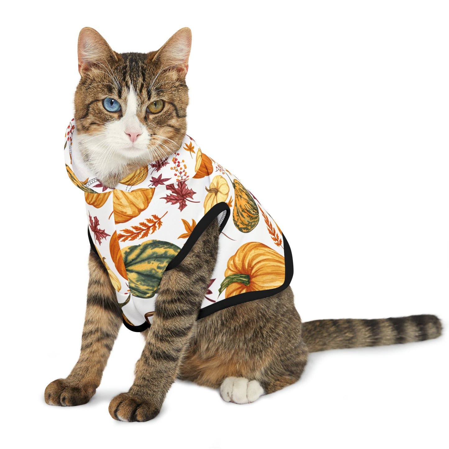 Cat Hoodie - Fall Collection (Fall 3)