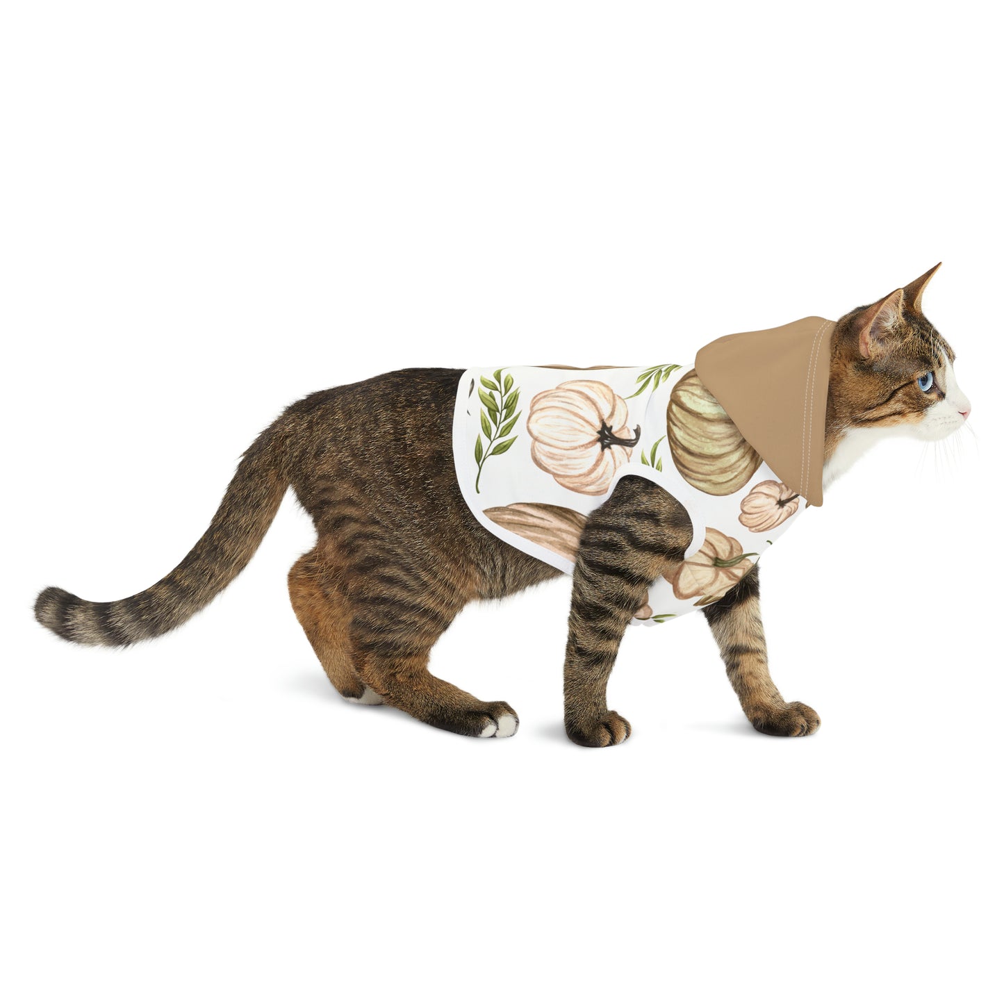 Cat Hoodie - Fall Collection (Fall 4 - With Dusty Rose Hood)