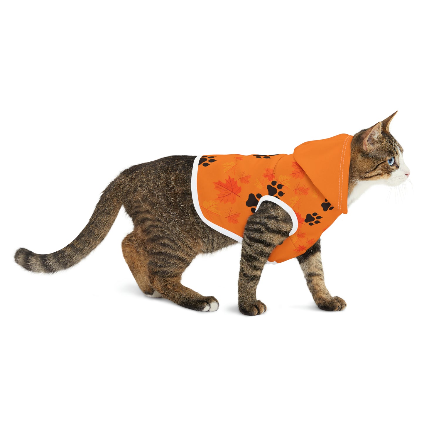 Cat Hoodie - Fall Collection (Light Orange - With Light Orange Hood)
