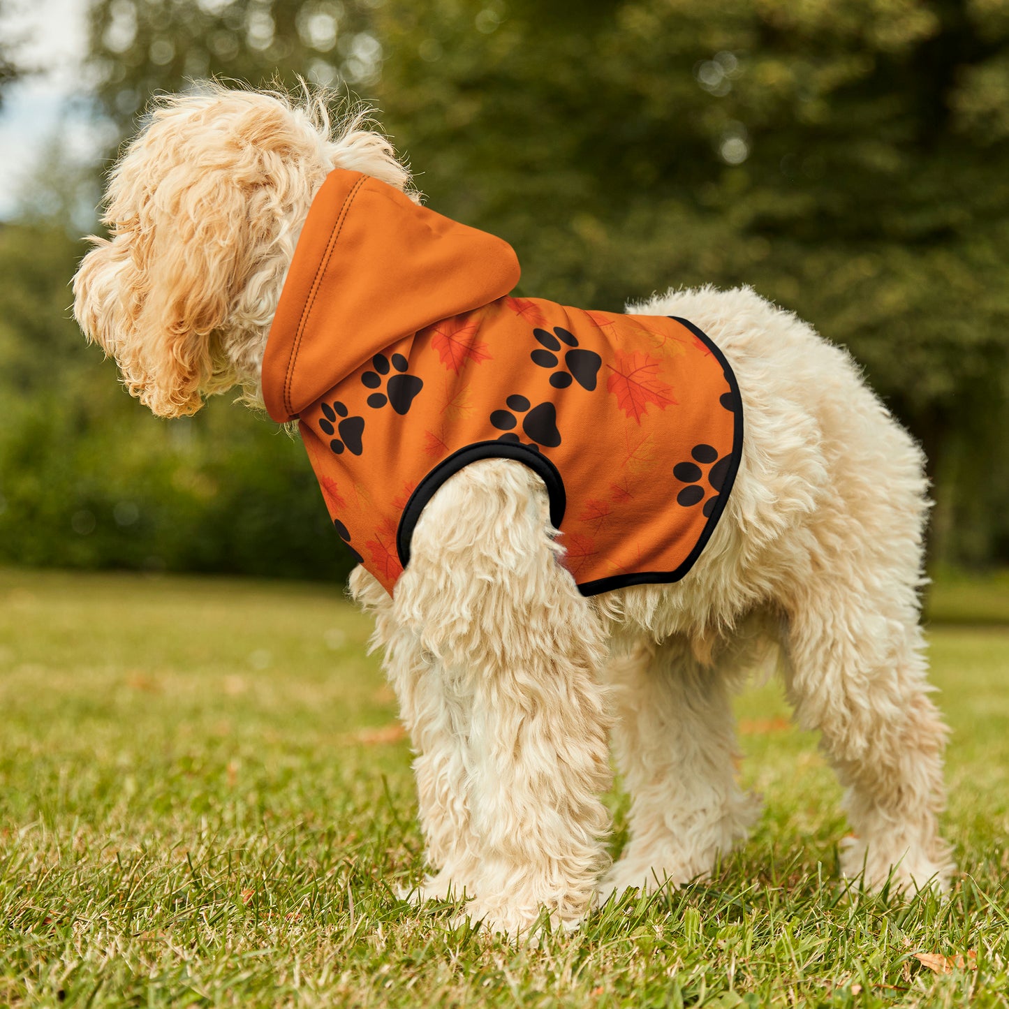 Dog Hoodie - Fall Collection (Light Orange - With Light Orange Hood)