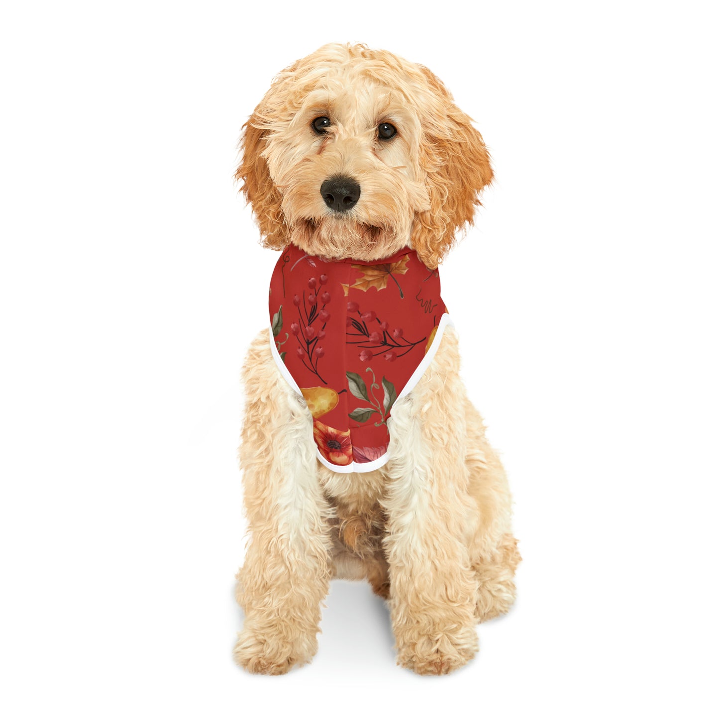 Dog Hoodie - Fall Collection (Fall 5 - With Maroon Hood)