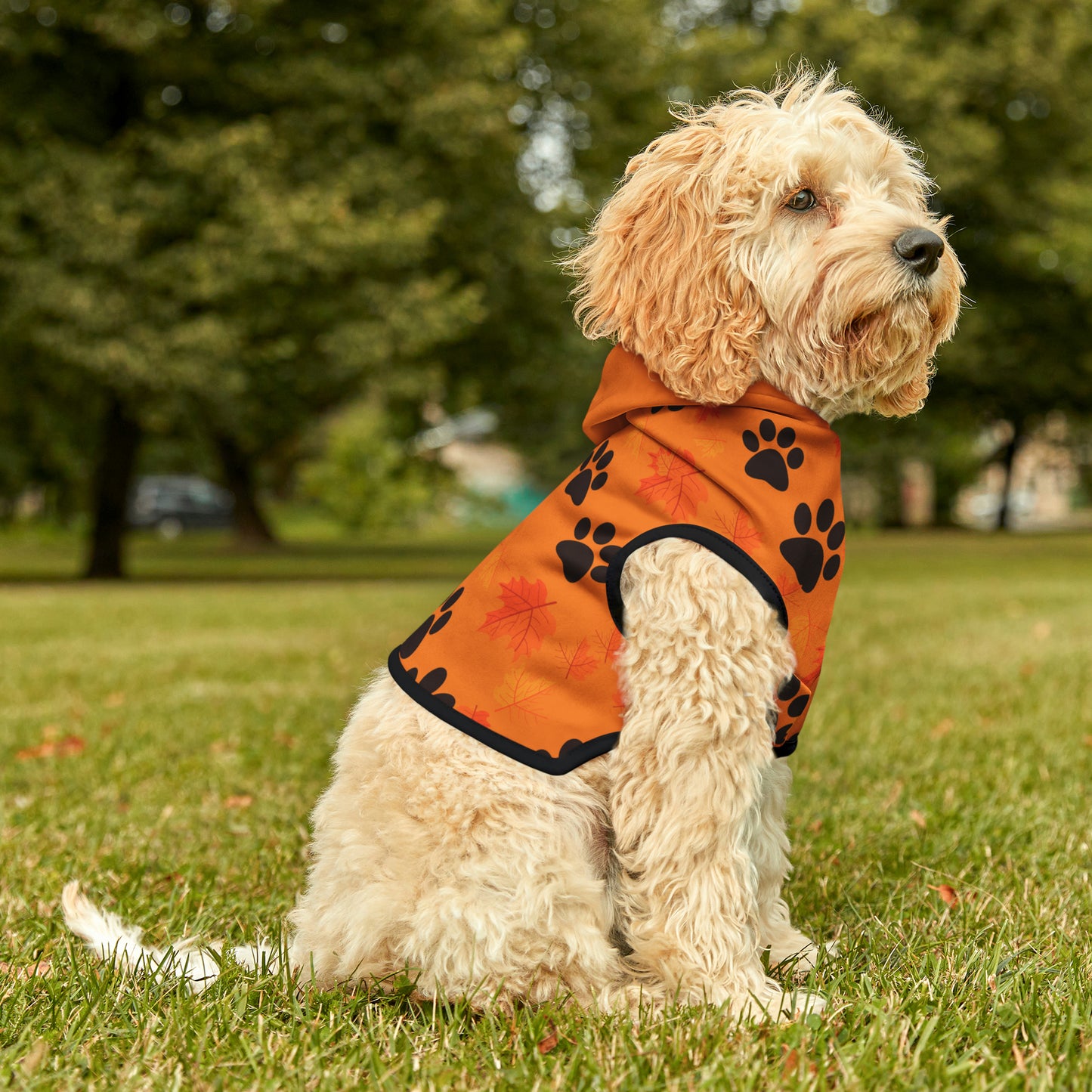 Dog Hoodie - Fall Collection (Light Orange - With Light Orange Hood)