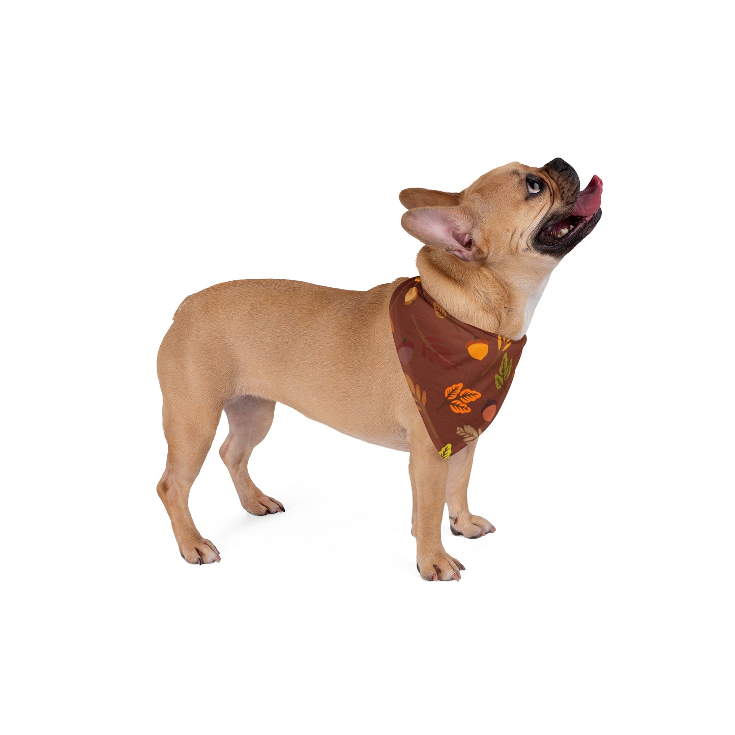 Pet Bandana - (Burgundy with Green Leaf)