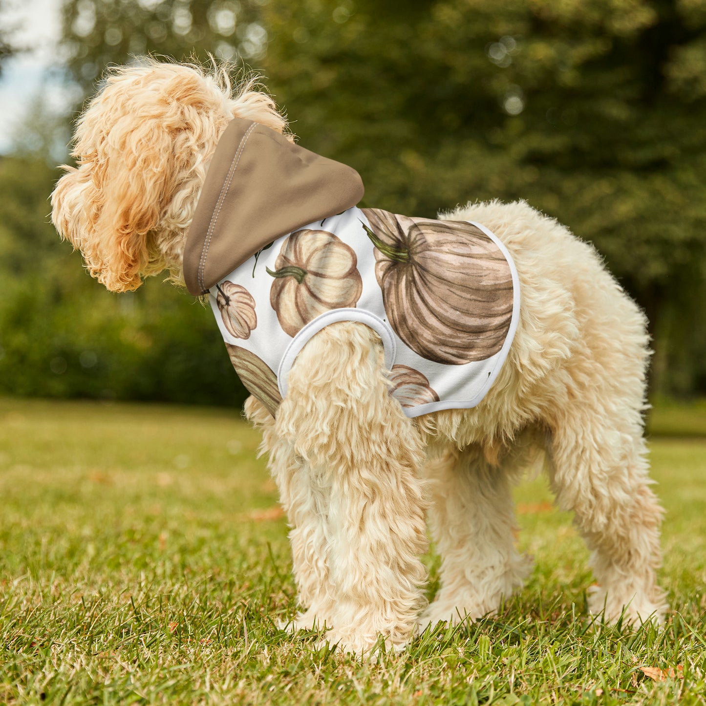 Dog Hoodie - Fall Collection (Fall 4 - With Dusty Rose Hood)