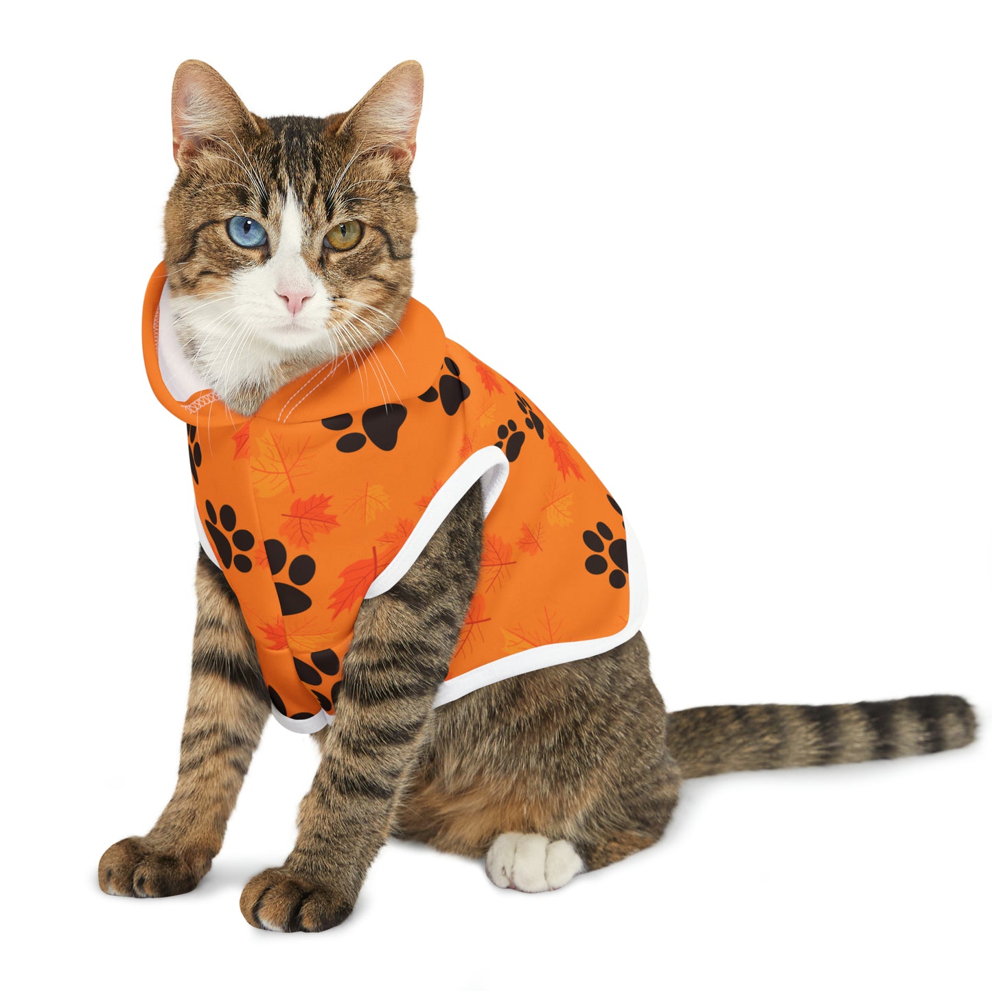 Dog Hoodie - Fall Collection (Light Orange - With Light Orange Hood)