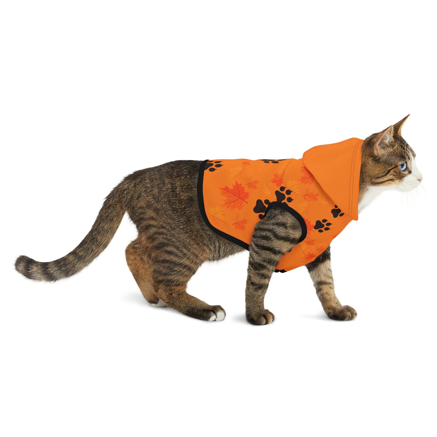 Cat Hoodie - Fall Collection (Light Orange - With Light Orange Hood)