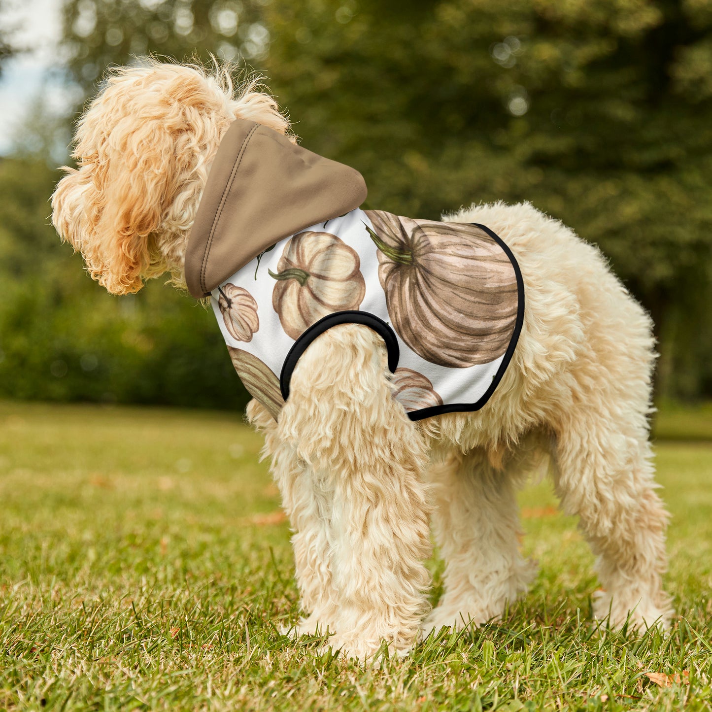 Dog Hoodie - Fall Collection (Fall 4 - With Dusty Rose Hood)