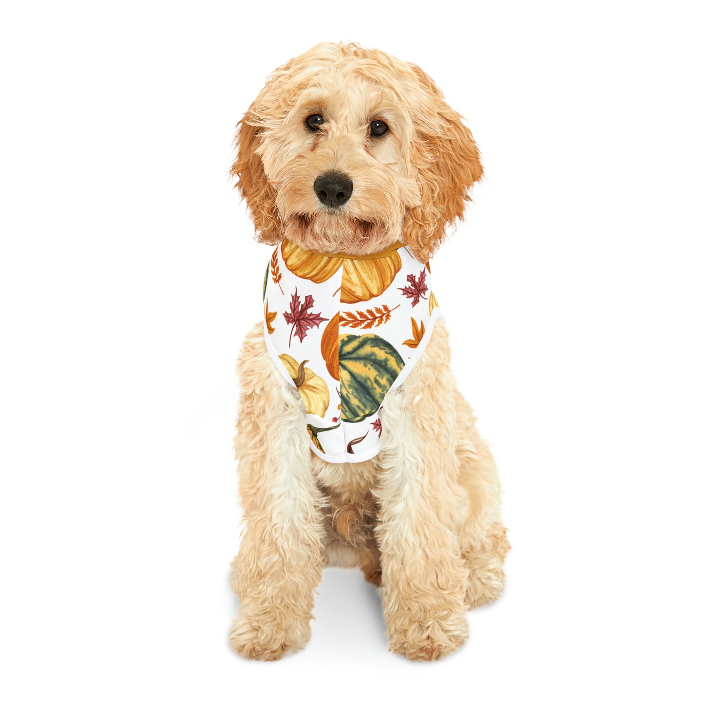Dog Hoodie - Fall Collection (Fall 3 - With Yellow Hood)