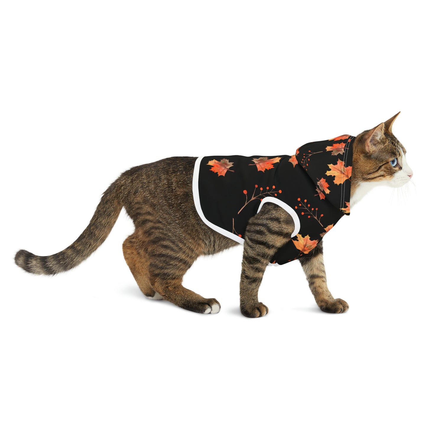 Cat Hoodie - Fall Collection (Fall 2)