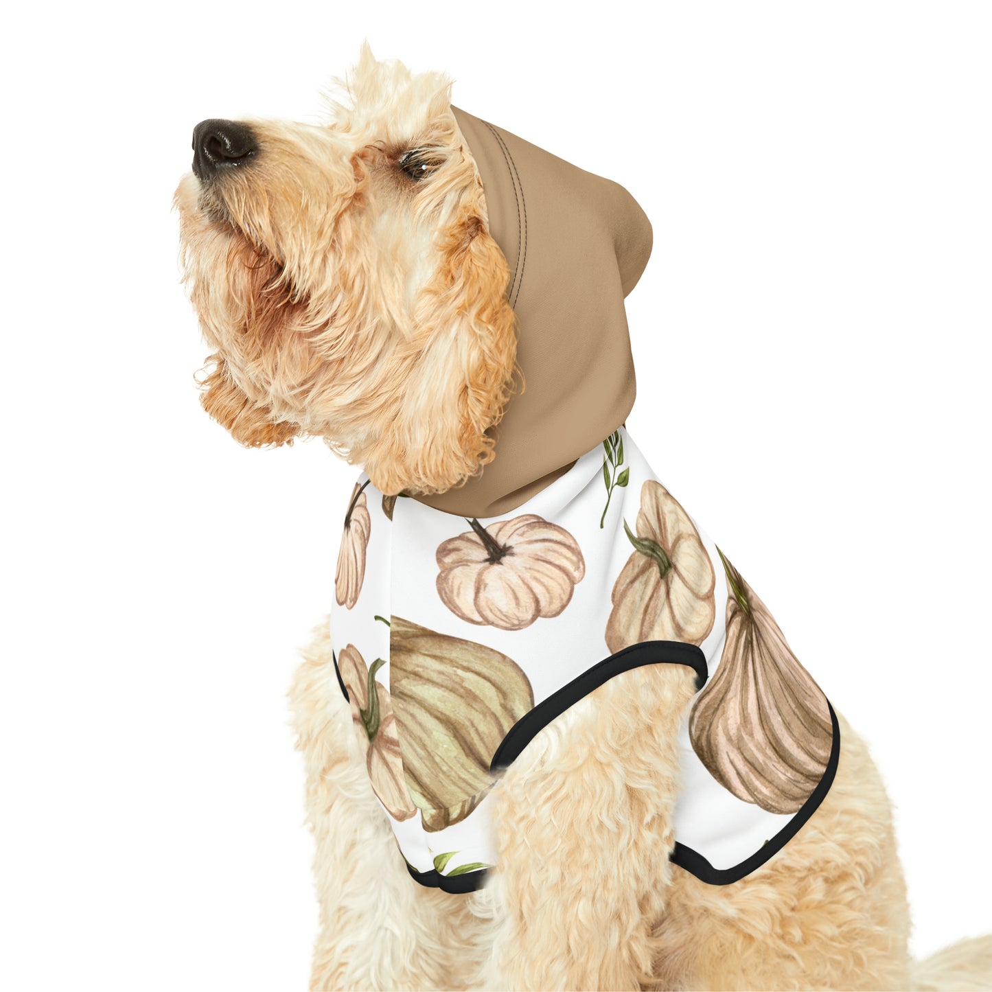 Dog Hoodie - Fall Collection (Fall 4 - With Dusty Rose Hood)
