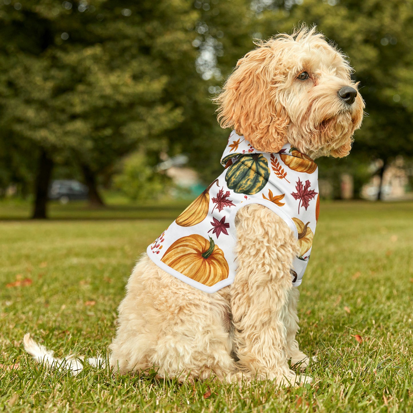 Dog Hoodie - Fall Collection (Fall 3)