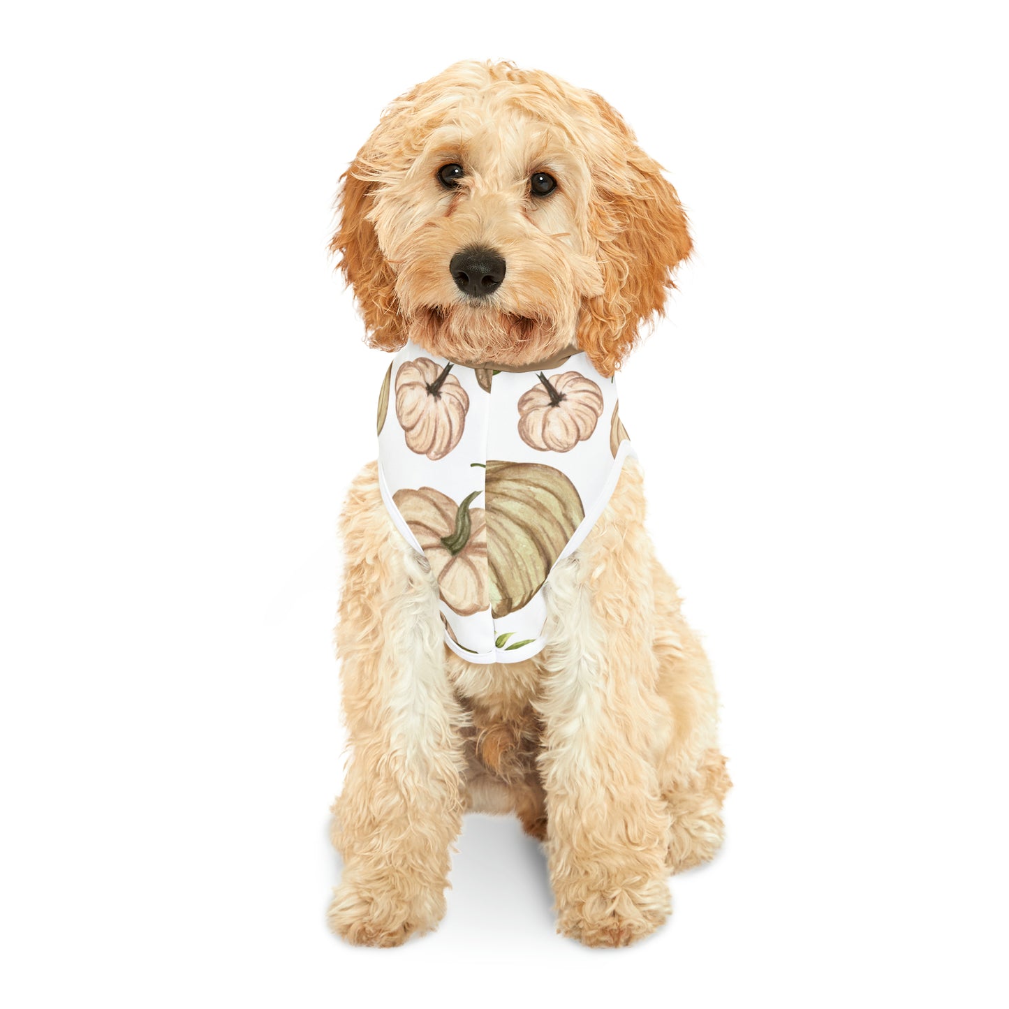 Dog Hoodie - Fall Collection (Fall 4 - With Dusty Rose Hood)