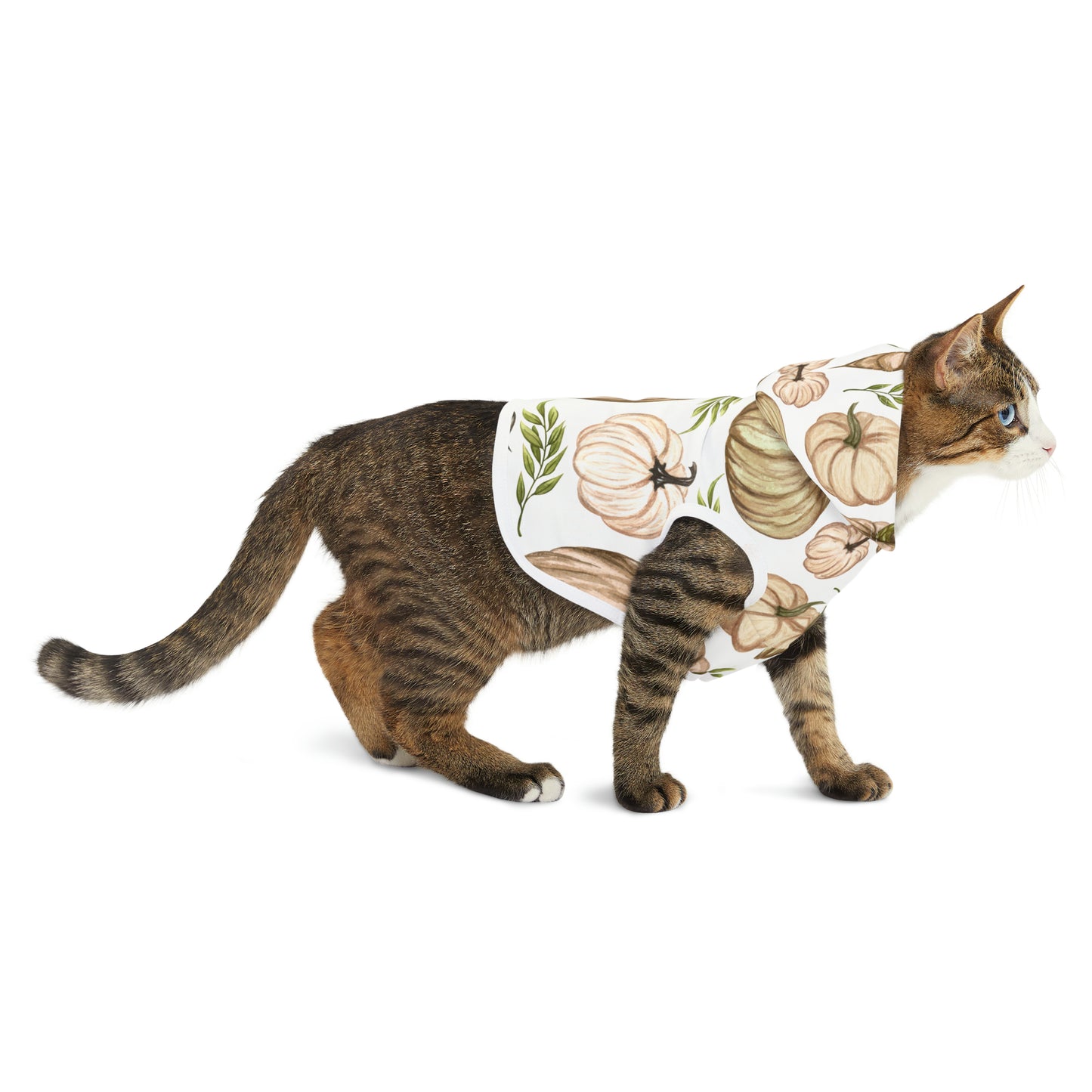 Cat Hoodie - Fall Collection (Fall 4)