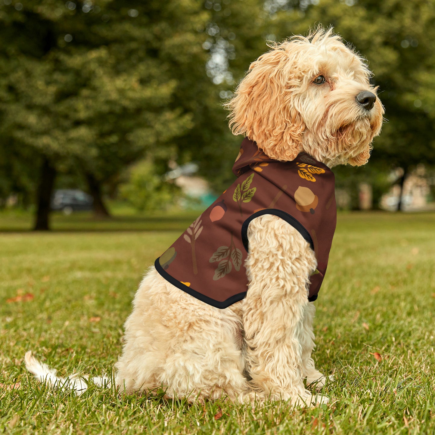 Dog Hoodie - Fall Collection (Fall 1)