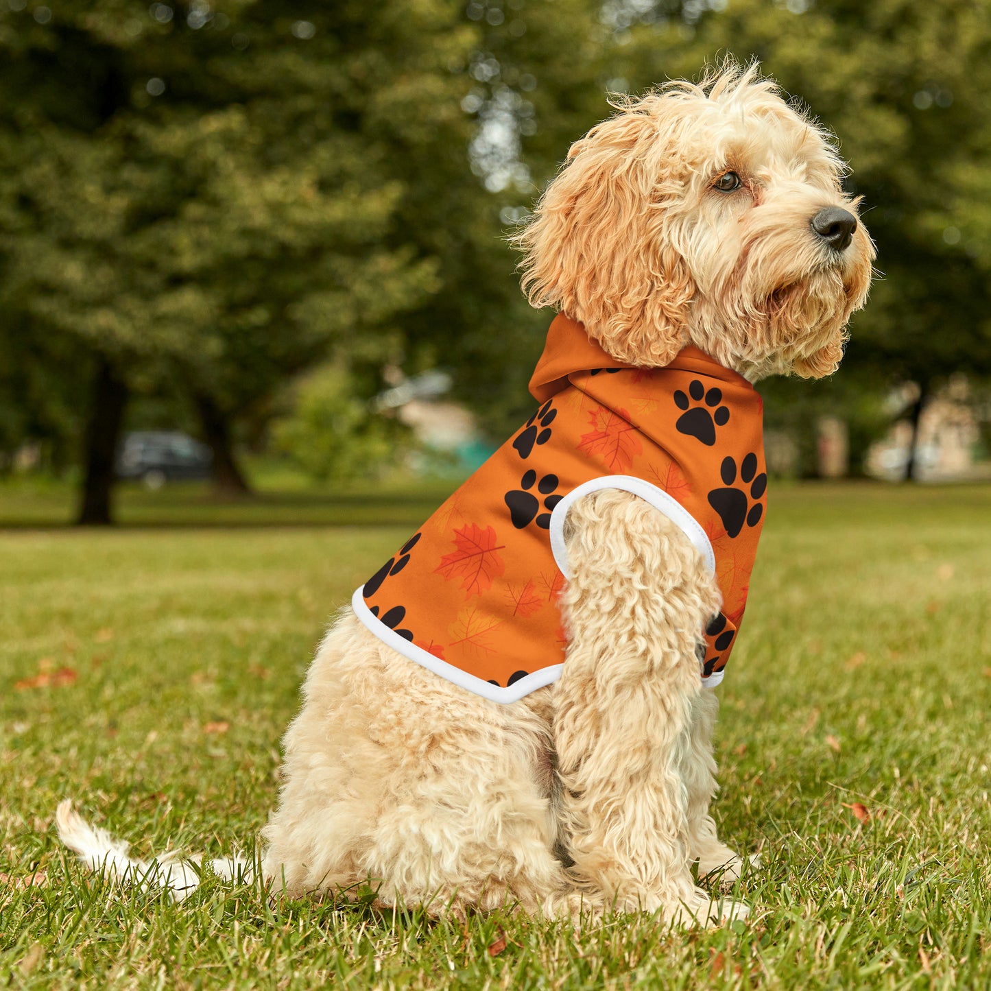 Dog Hoodie - Fall Collection (Light Orange - With Light Orange Hood)