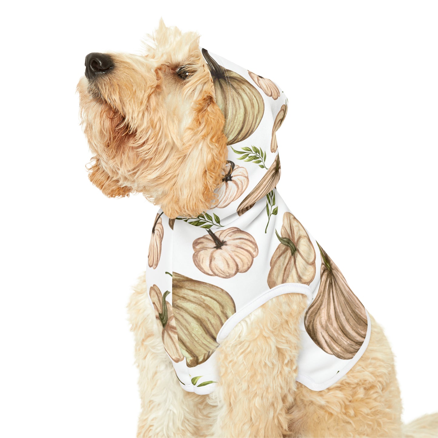 Dog Hoodie - Fall Collection (Fall 4)