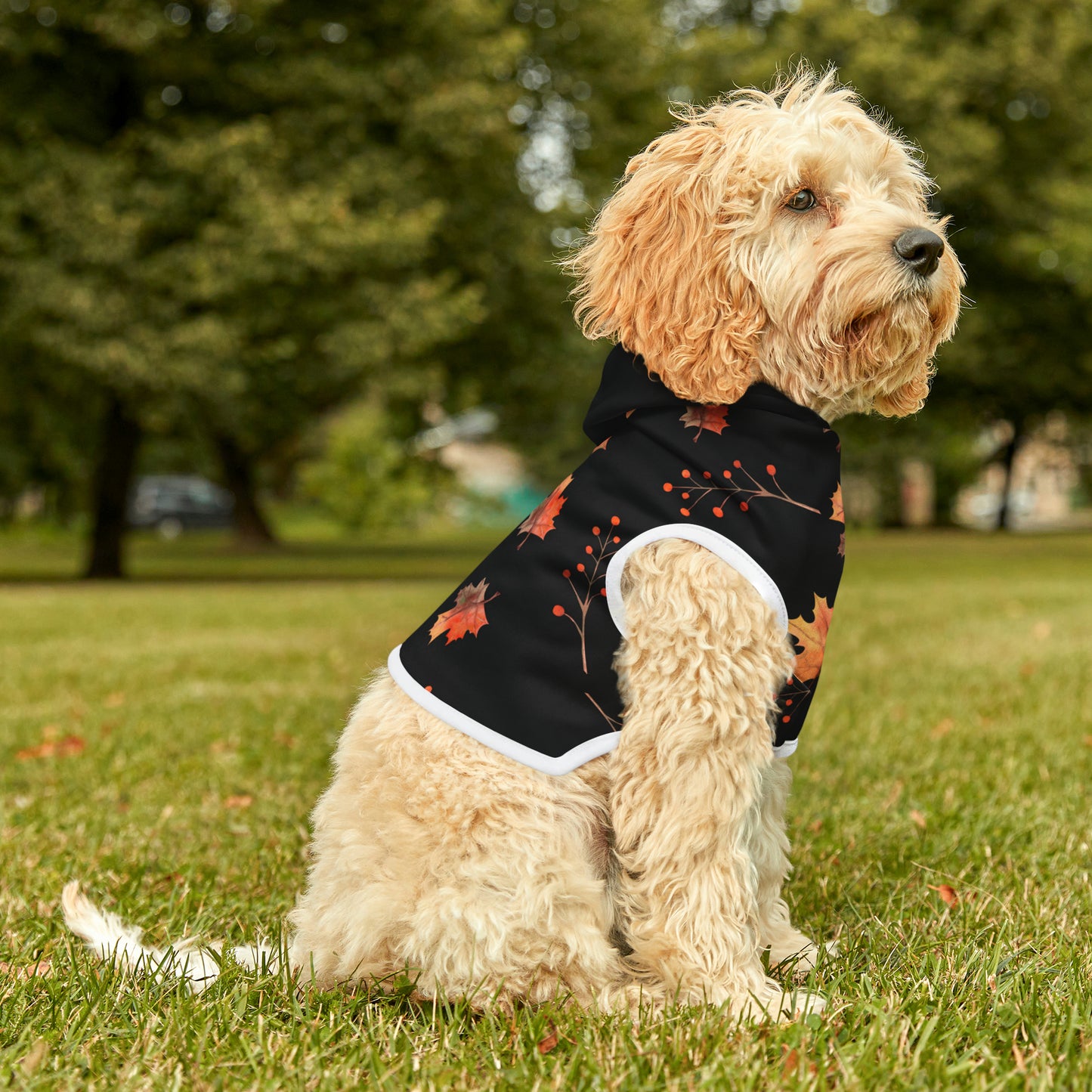 Dog Hoodie - Fall Collection (Fall 2 - With Black Hood)