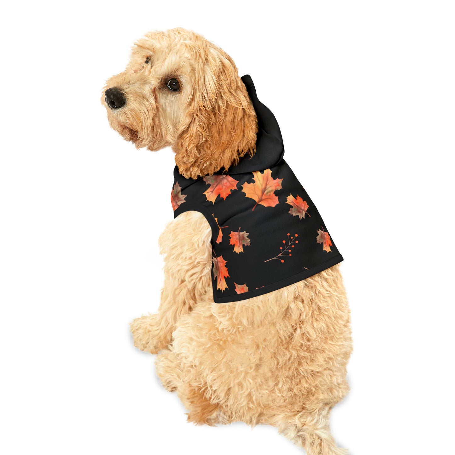 Dog Hoodie - Fall Collection (Fall 2 - With Black Hood)