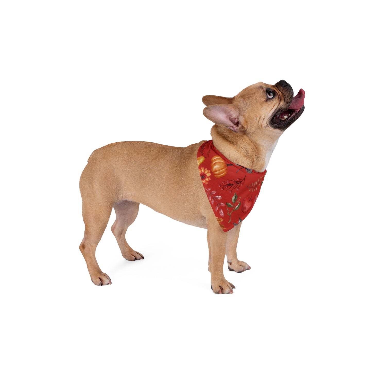 Pet Bandana - (Burgundy)