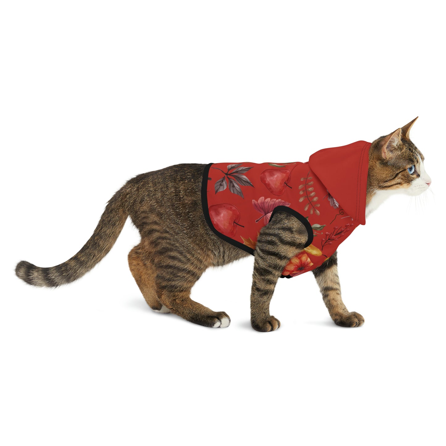 Cat Hoodie - Fall Collection (Fall 5 - With Maroon Hood)
