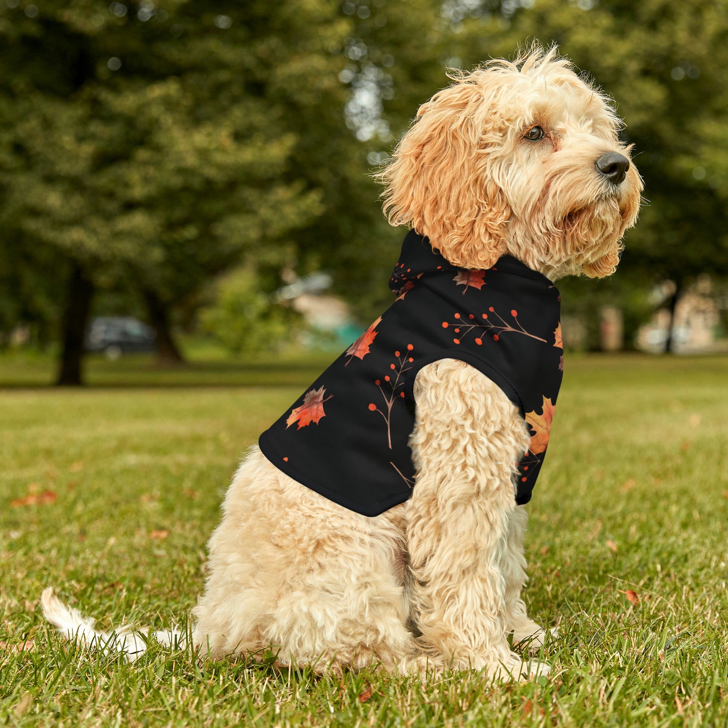 Dog Hoodie - Fall Collection (Fall 2)
