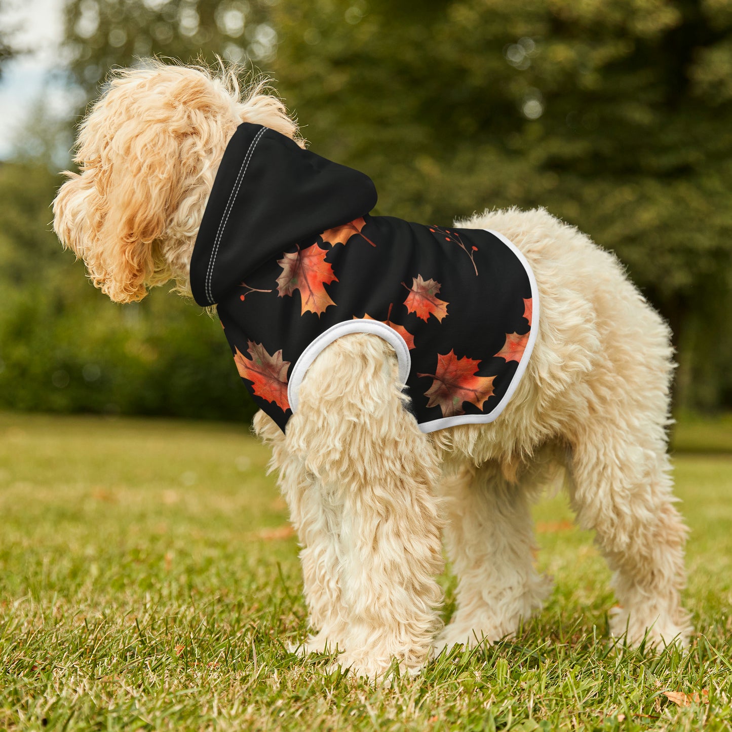 Dog Hoodie - Fall Collection (Fall 2 - With Black Hood)