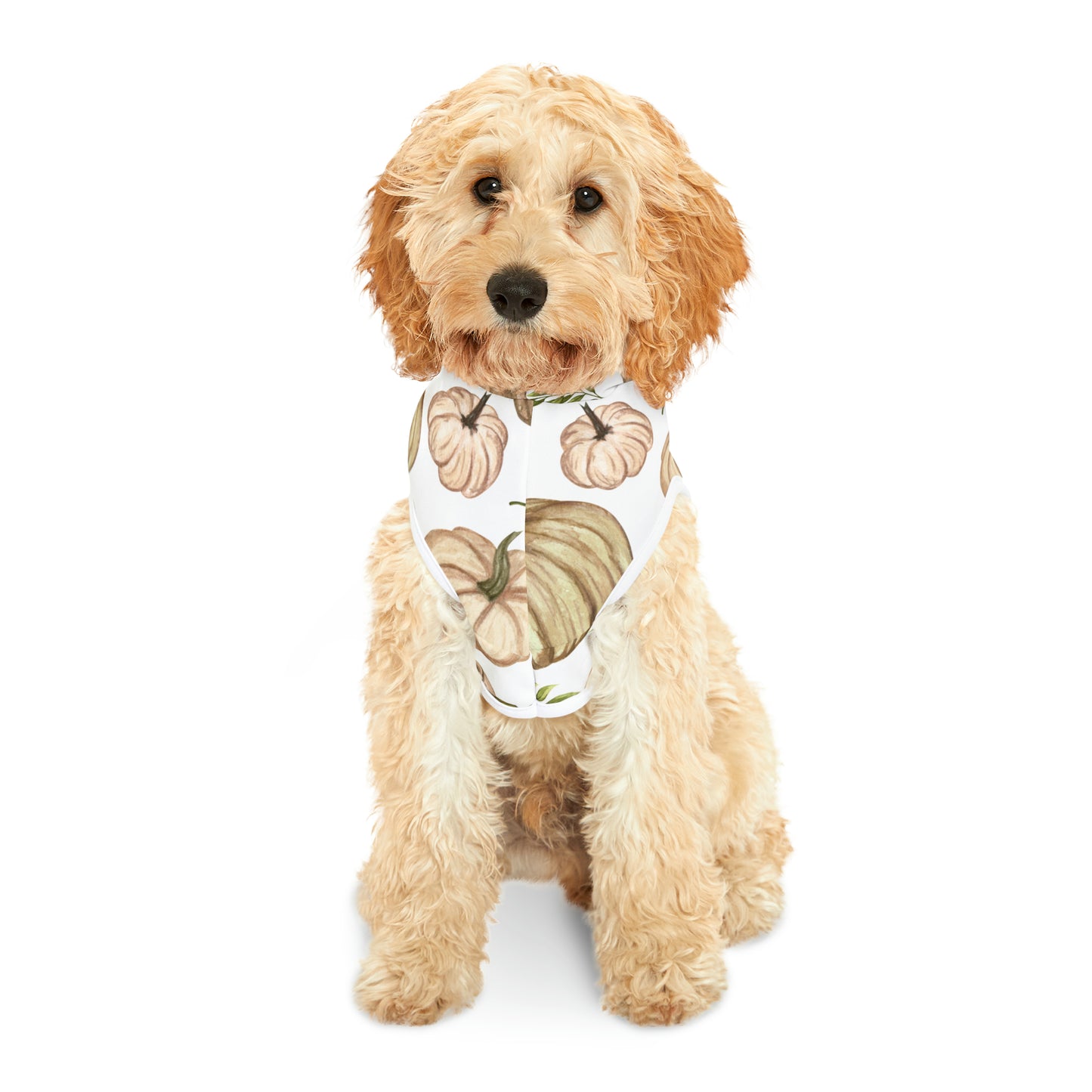 Dog Hoodie - Fall Collection (Fall 4)