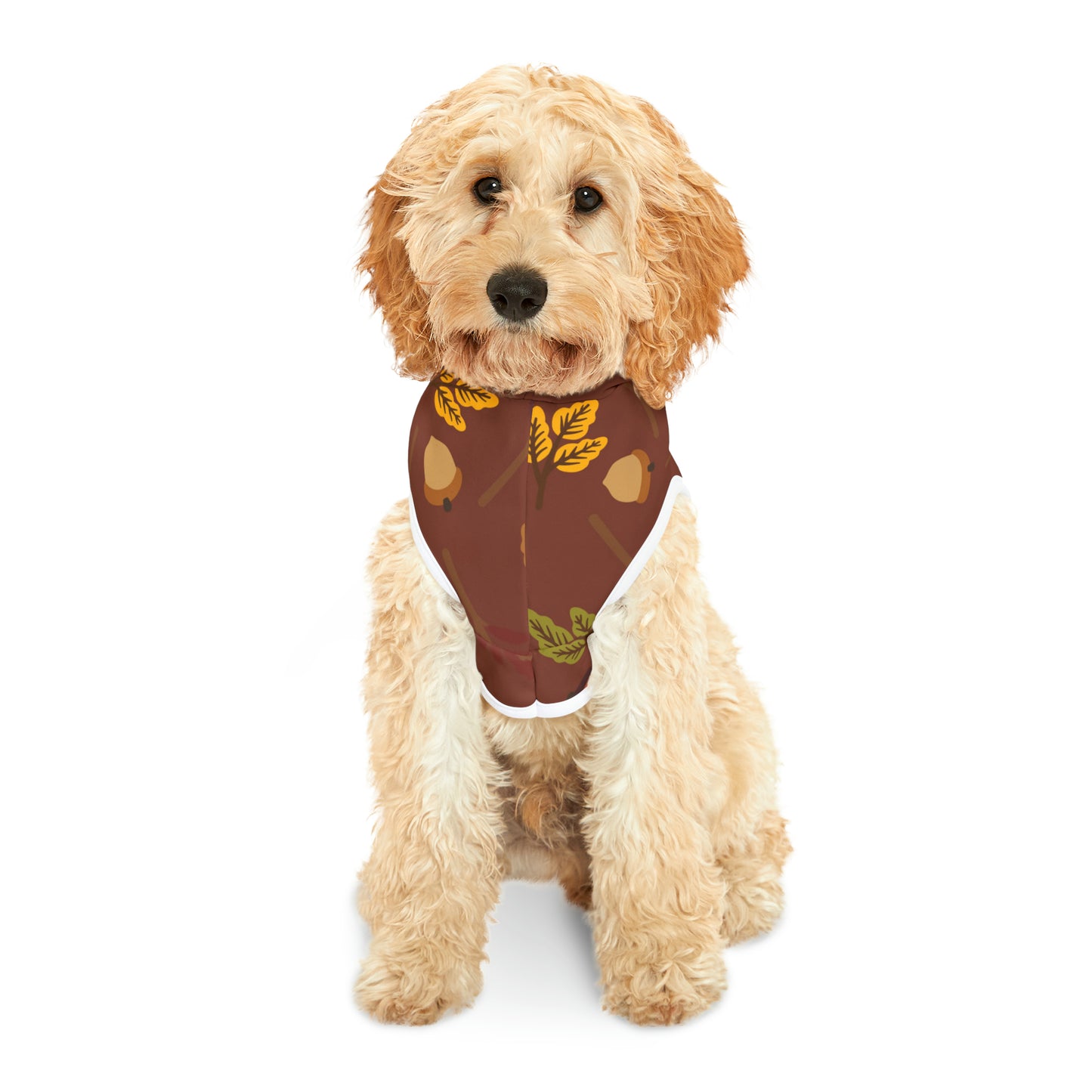 Dog Hoodie - Fall Collection (Fall 1 - With Burgundy Hood)