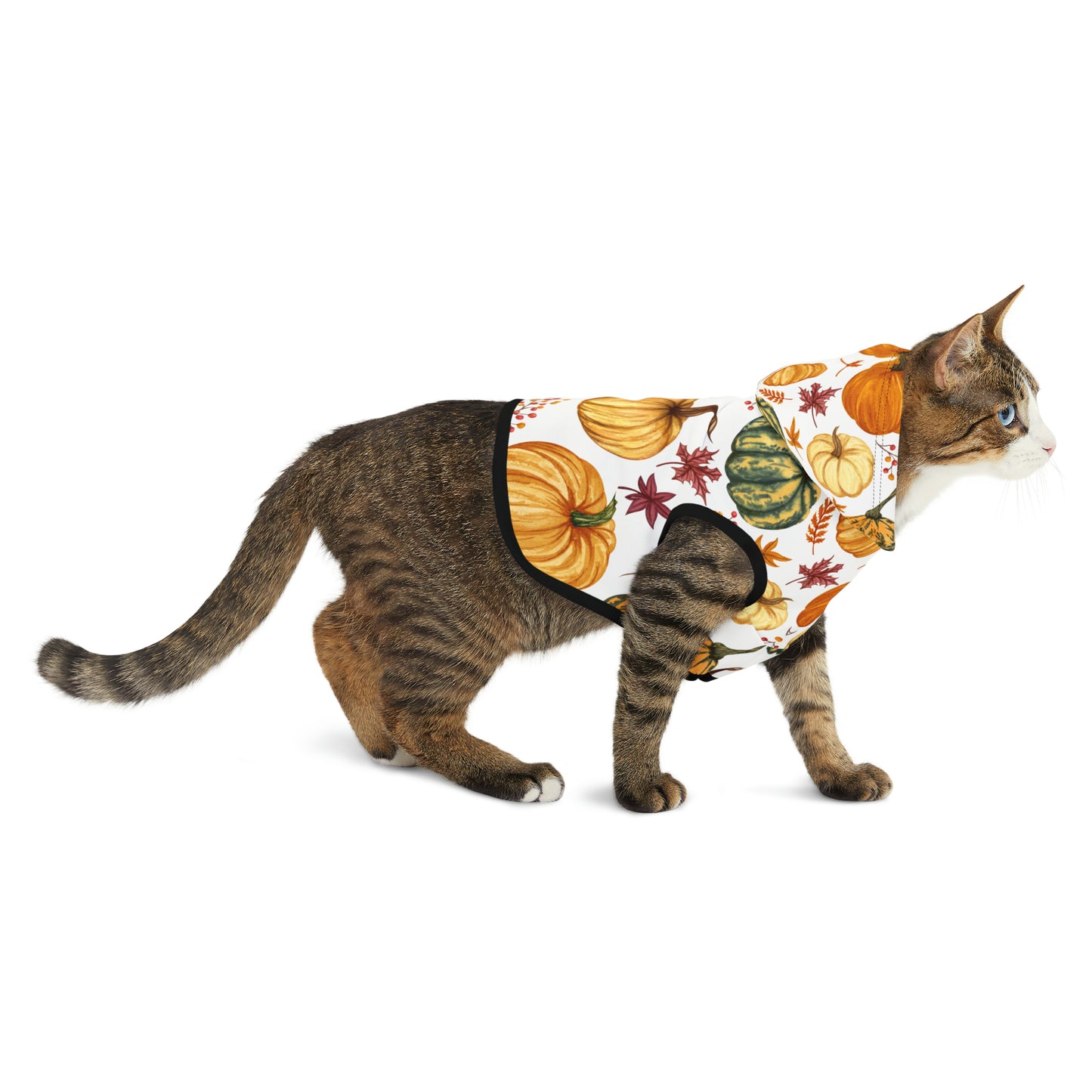 Cat Hoodie - Fall Collection (Fall 3)
