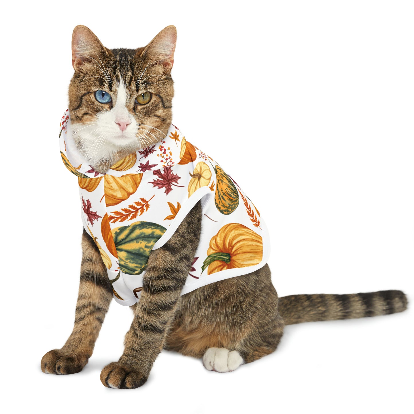 Cat Hoodie - Fall Collection (Fall 3)