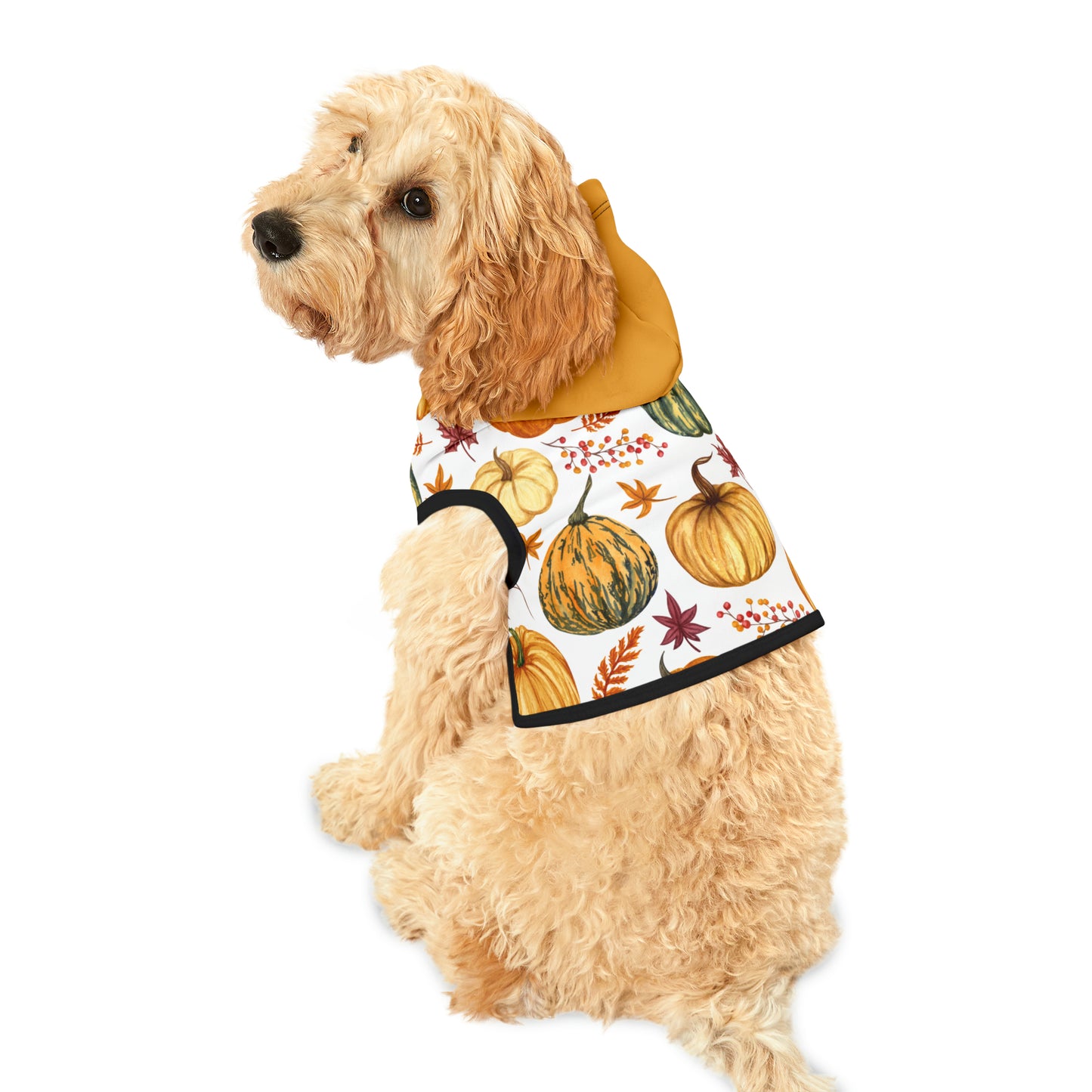 Dog Hoodie - Fall Collection (Fall 3 - With Yellow Hood)