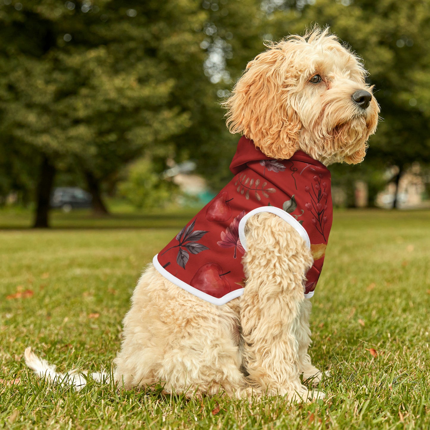 Dog Hoodie - Fall Collection (Fall 5 - With Maroon Hood)