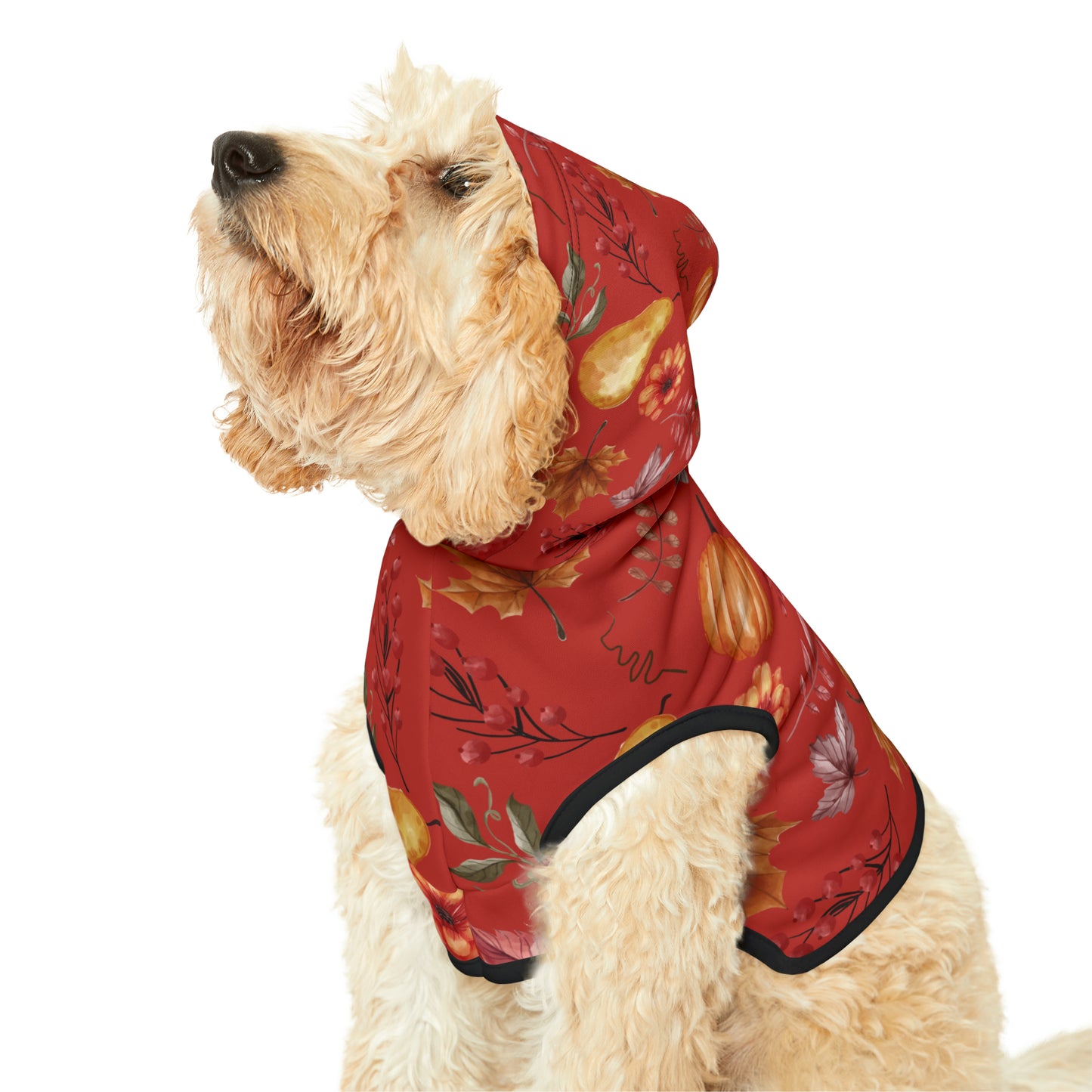 Dog Hoodie - Fall Collection (Fall 5)