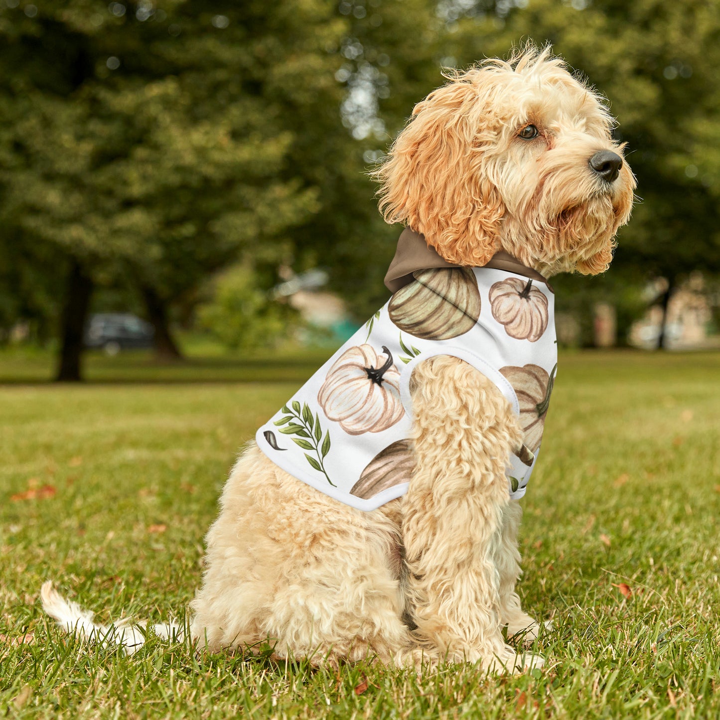 Dog Hoodie - Fall Collection (Fall 4 - With Dusty Rose Hood)