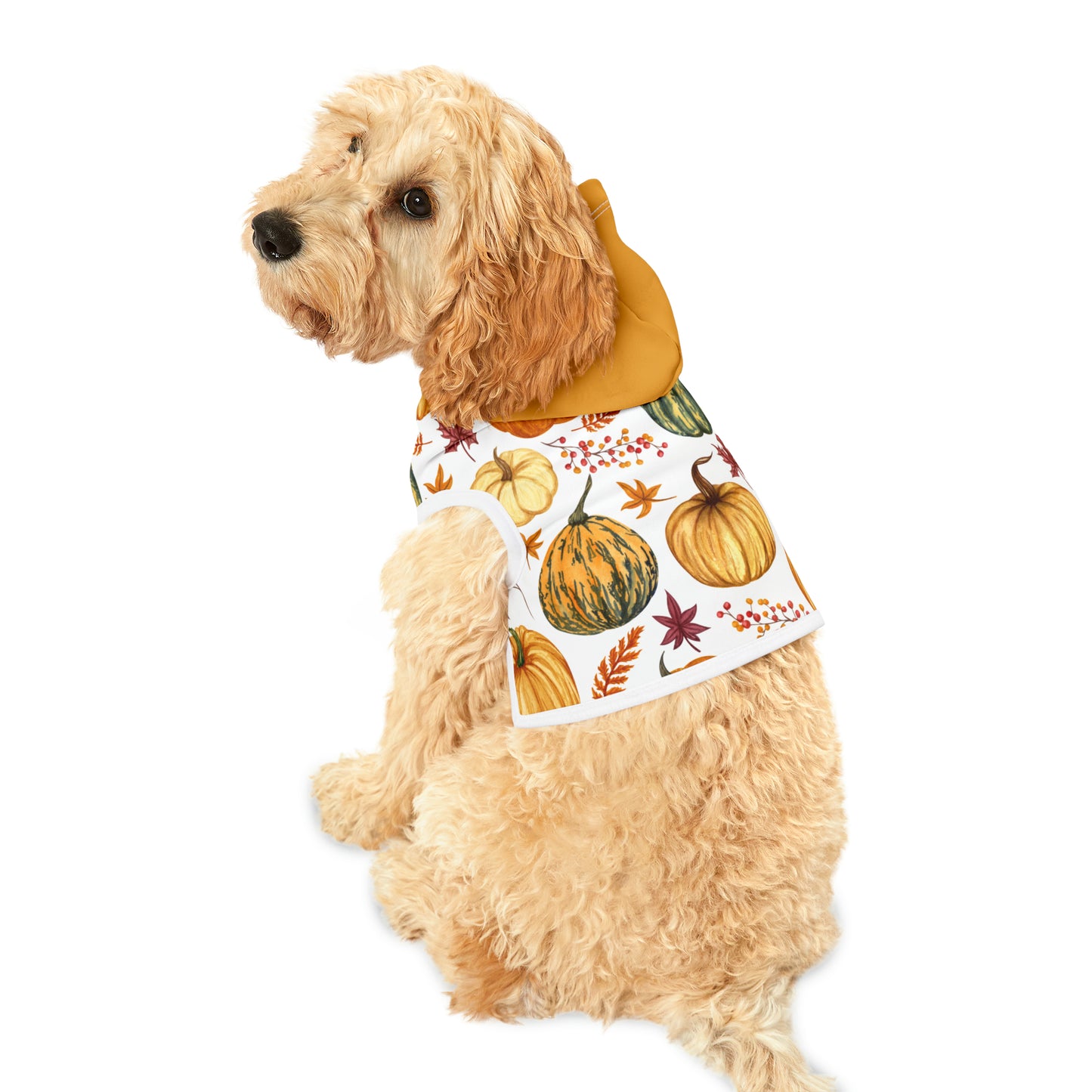 Dog Hoodie - Fall Collection (Fall 3 - With Yellow Hood)