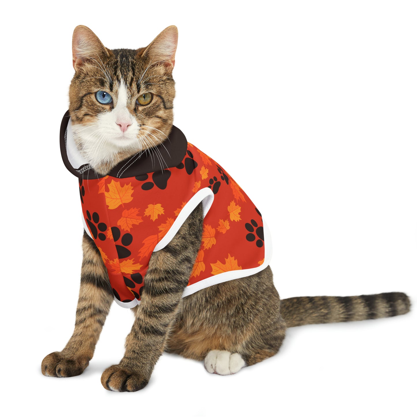 Cat Hoodie - Fall Collection (Dark Orange - With Dark Brown Hood)