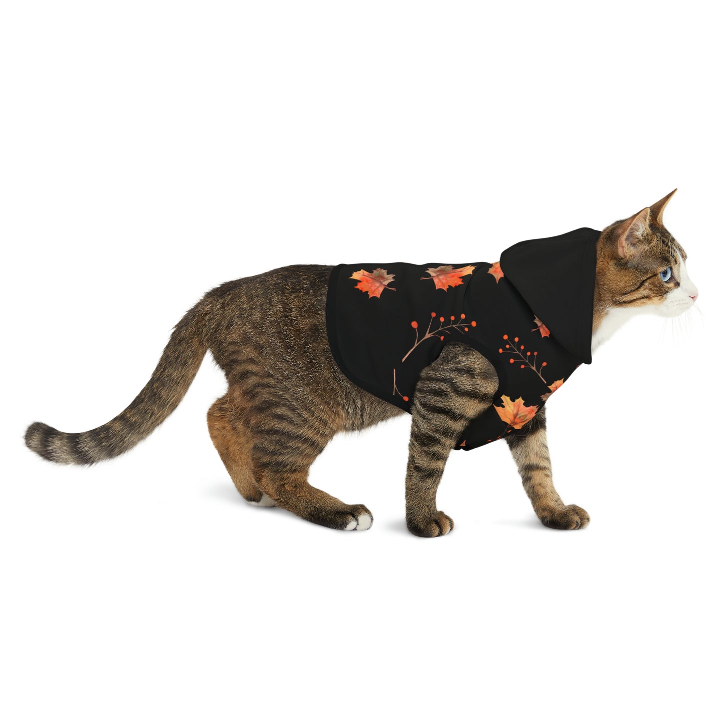Cat Hoodie - Fall Collection (Fall 2 - With Black Hood)
