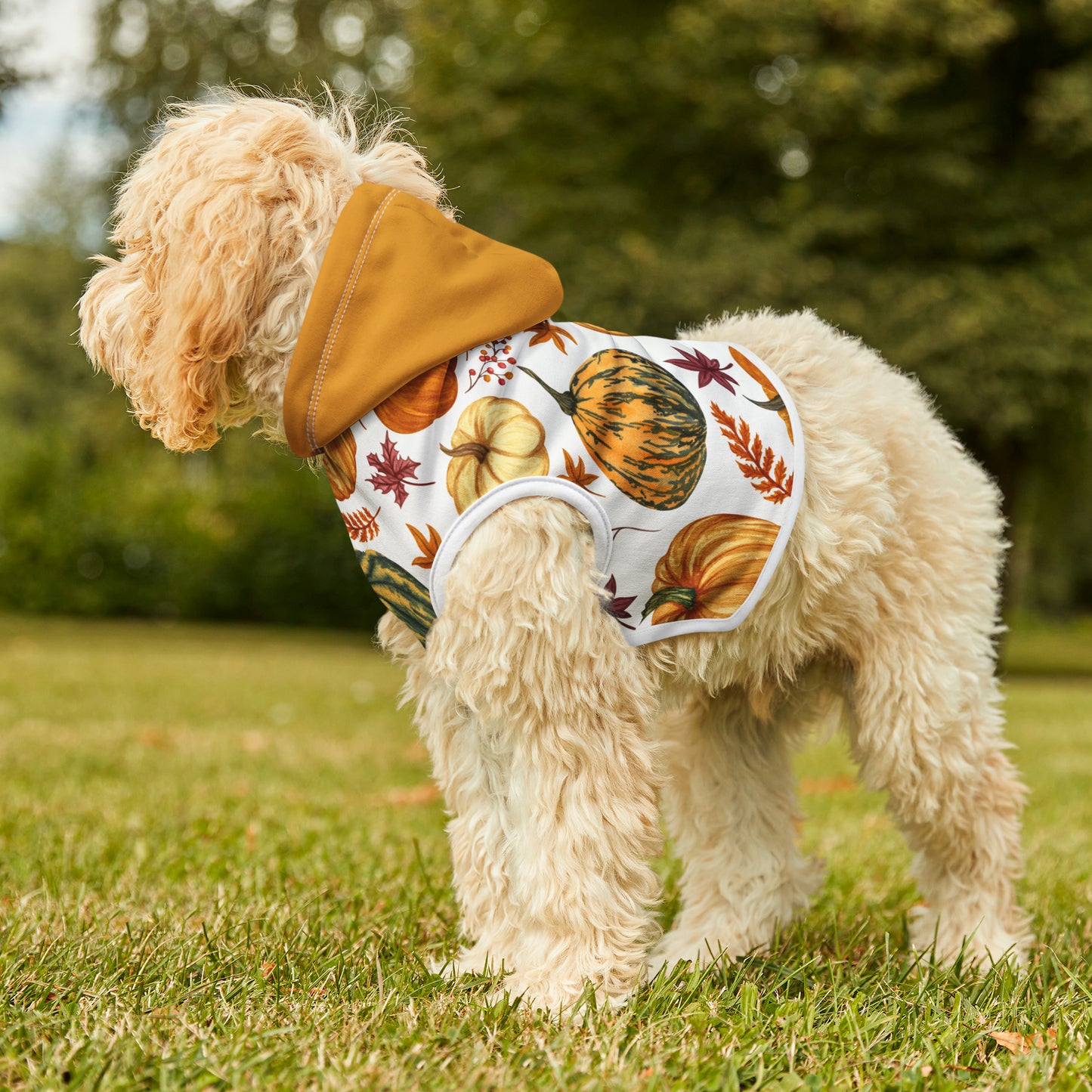 Dog Hoodie - Fall Collection (Fall 3 - With Yellow Hood)