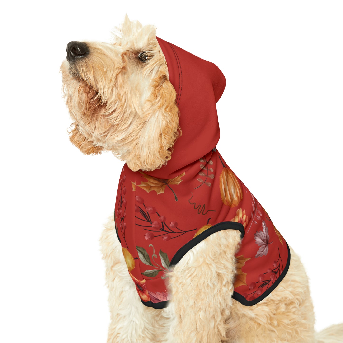 Dog Hoodie - Fall Collection (Fall 5 - With Maroon Hood)