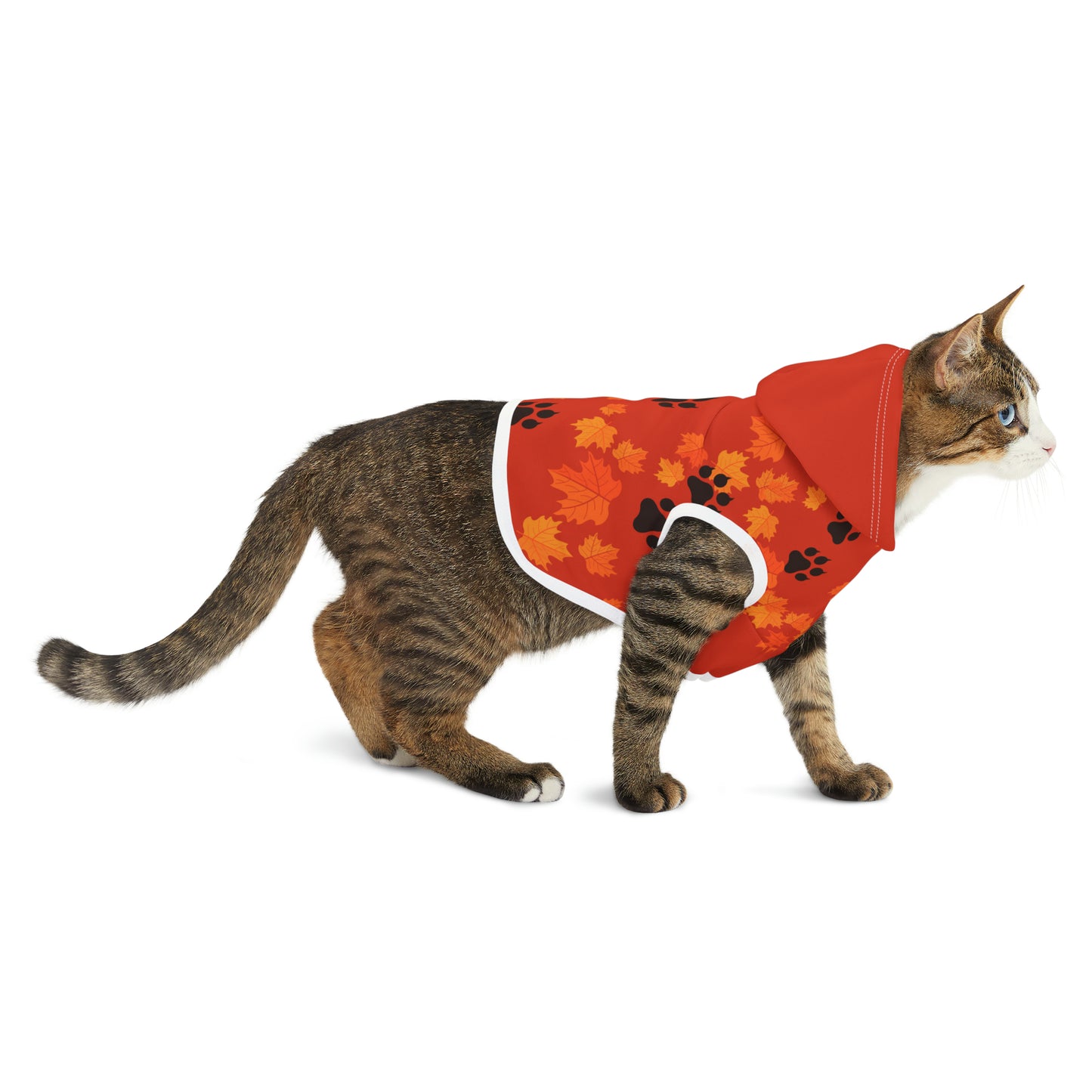 Cat Hoodie - Fall Collection (Dark Orange - with Dark Orange Hood)