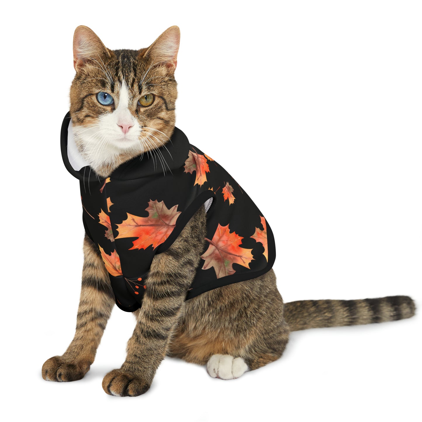 Cat Hoodie - Fall Collection (Fall 2 - With Black Hood)
